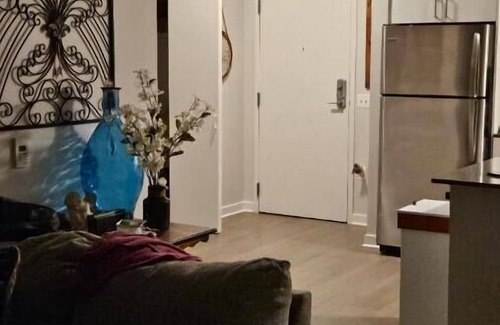 Near West Side Condo | Luxurious & Cozy with an Amazing View in an area that offers it all w/transprtnn