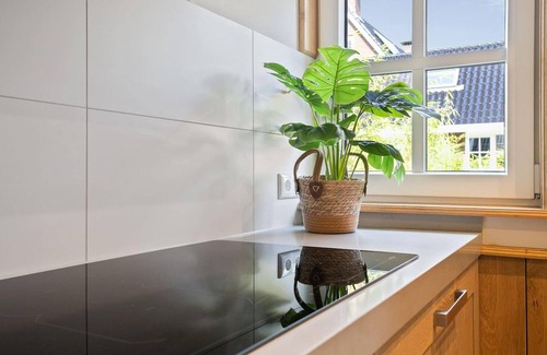 Triemen House | Luxurious Nature Stay in Friesland With Jacuzzi
