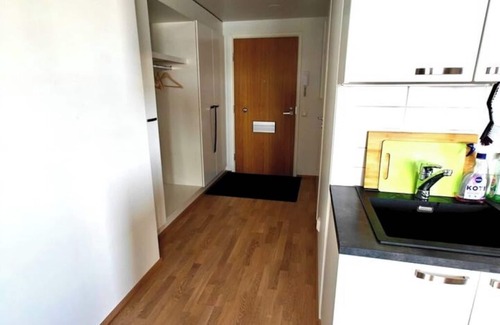 Oulu Apartment | luxurious one-bedroom apartment near the city center