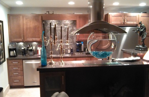 Preston Hollow Apartment | LUXURIOUS PENTHOUSE WITH TOTAL PRIVACY FROM THE PUBLIC AND PAPARAZZI