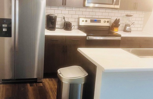 Fargo Apartment | Luxurious Pet-friendly Downtown Apartment