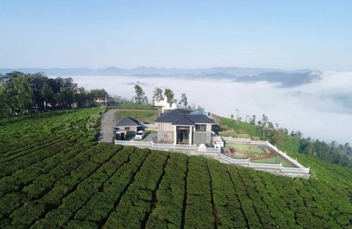 Lovedale Villa | Luxurious Stay at Vachi's Belvedere, a lavish 4BHK retreat nestled in Ooty