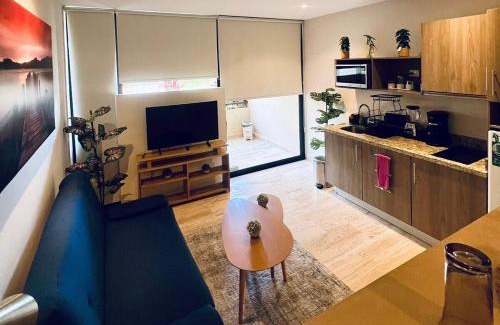 Centro Apartment | Luxurious studio, Playa del Carmen