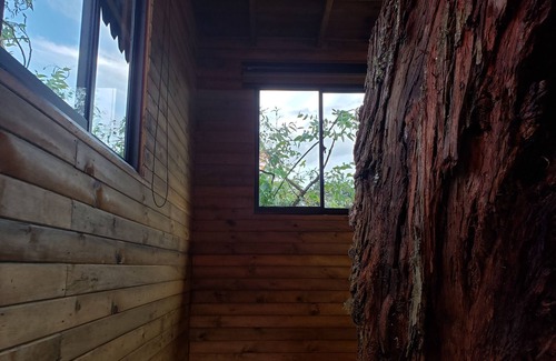 Rionegro House | Luxurious Tree House in a Rustic, Secluded, and Serene Finca
