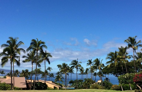 Wailea Condo | Luxurious Tropical Retreat Wailea Ekahi Unit - 31 D