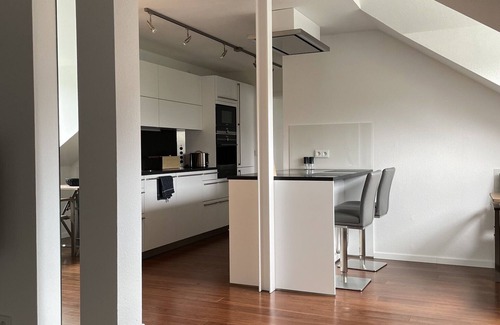 Bad Alexandersbad Apartment | Luxurious vacation apartment (55 m²) with south-facing balcony and bio-ethanol wall fireplace