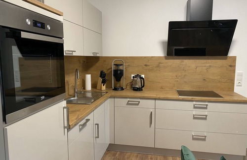 Greiz Apartment | Luxurious vacation apartment in the middle of the park and castle town of Greiz
