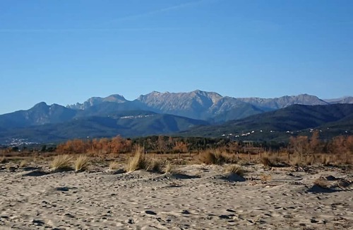 Ventiseri Villa | Luxurious Villa Travo 10P Domaine 3000m2 - Beach Quercioni 5min