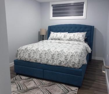 Transcona Apartment | Luxury 1 Bedroom Basement Suite