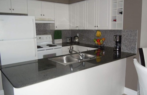 Downtown Toronto Condo | Luxury 1 Bedroom Condo in the Heart of Downtown Toronto