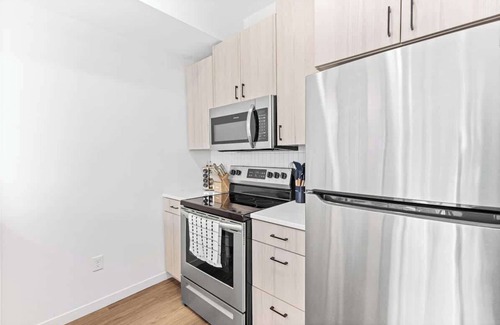 St. Anthony West Apartment | Luxury 1BD Gym, Rooftop, Street Parking by DT, UMN