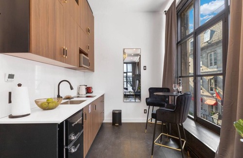 Old Montreal Apartment | Luxury 1Bd Loft-Old Montréal-C1
