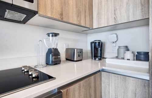 Northeast Miami Apartment | Luxury 1BR in Design District w pool, parking, gymnn