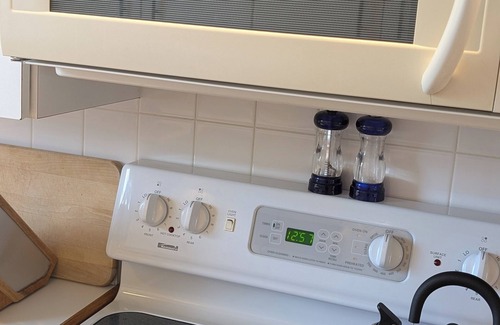 Lutz Condo | Luxury 1BR King Condo, Private Lanai, Pet-Friendly - Clothing Optional