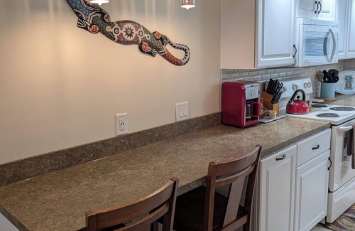 Lutz Condo | Luxury 1BR King Condo, Screened Lanai, Pond Views - Clothing Optional