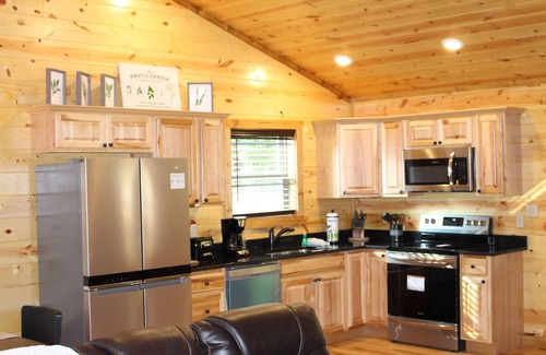 Sevierville Cabin | Luxury, 2 bedroom cabin. Take our virtual tour! Private but close to all!