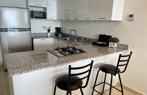 Zona Dorada Apartment | Luxury 2 Bedrooms Apartment at an exclusive tower by the beach in Zona Dorada n
