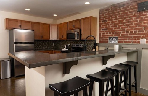 Roanoke Apartment | Luxury 2 BR apartment with modern accents downtown