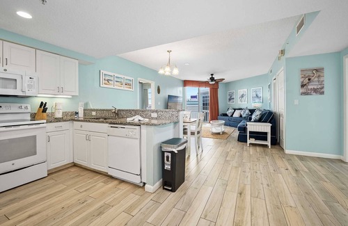 Brush - Stewarts Condo | Luxury 20th Floor 2 BR Condo Direct Oceanfront Resort Daytona Beach