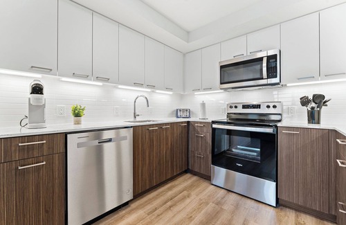 Lower Allston Apartment | Luxury 2bd/2ba near Harvard 6239