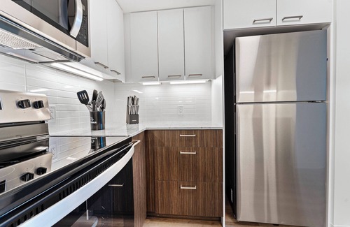 Lower Allston Apartment | Luxury 2bd/2ba near Harvard 6239
