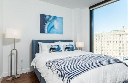 Back Bay East Apartment | Luxury 2BR BackBay Boston Common T-station Roof Top Lounge Gym