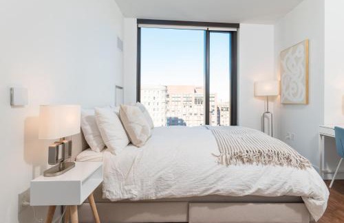 Back Bay East Apartment | Luxury 2BR BackBay Boston Common T-station Roof Top Lounge Gym