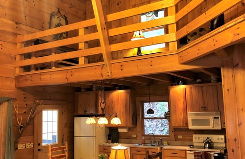 Robbinsville Cabin | Luxury 4BR Log Cabin, Private Mountain Acreage, Dog+Biker Friendly, Hot Tub WiFi