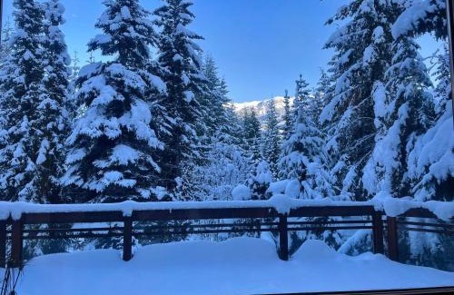 Blueberry Hill House | Luxury 5 Bedroom Blueberry Chalet