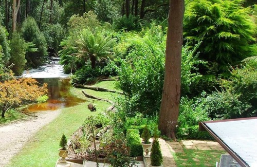 Rocky Cape House | Luxury Accomodation in Private Rainforest near Rocky Cape