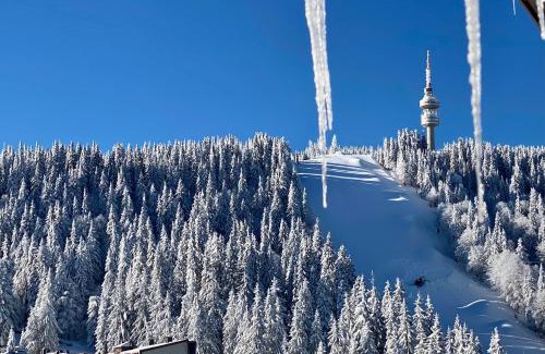 Pamporovo Apartment | Luxury Aparthotel STUDENETS