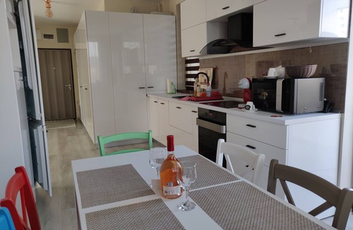Baia Mare Apartment | Luxury apartment in central residential area