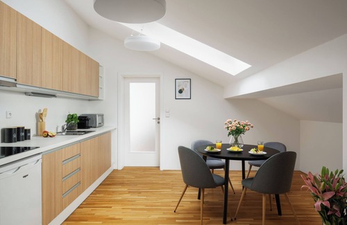 Brno-stred Apartment | Luxury Apartments Zelny Trh