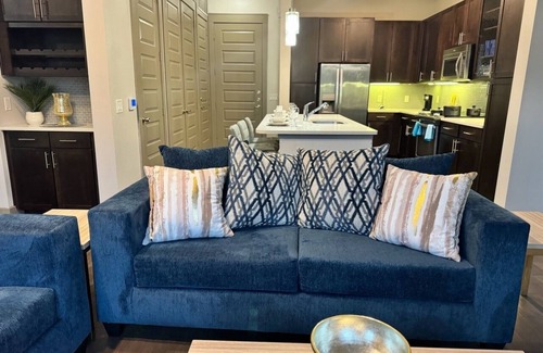 East Downtown Houston Apartment | Luxury at Synergy Stadium