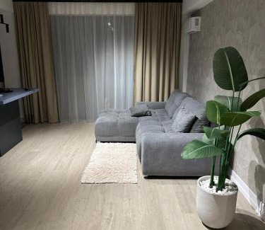 Satu Mare Apartment | Luxury Blue Apartment