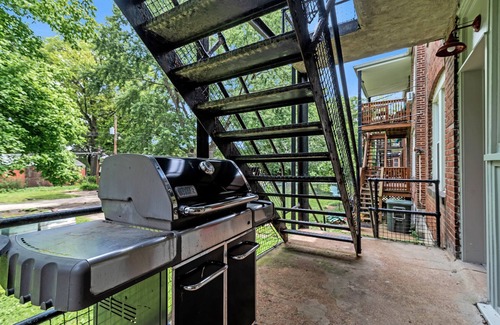 Southwest Garden Condo | Luxury Condo down the street from Tower Grove Park
