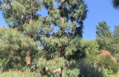 Burbank Bed & Breakfast | Luxury Condo w/Complimentary Breakfast and Free Parking! 5 mins from Universal