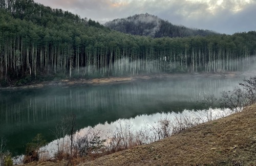 Butler Cottage | Luxury Cottage on Watauga Lake