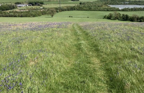 Powburn Cottage | Luxury cottage retreat in the heart of Northumberland, easy access to Coast