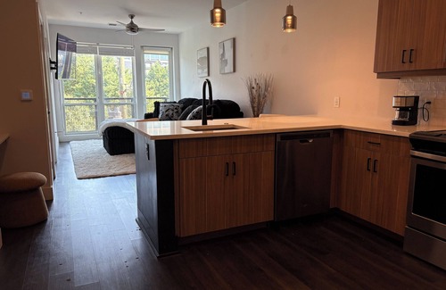 Home Park Apartment | Luxury Cozy Condo Downtown Atlanta!