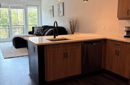 Home Park Apartment | Luxury Cozy Condo Downtown Atlanta!