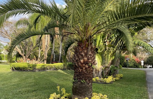 Palmetto Bay House | Luxury Estate In Historic Old Cutler Rd