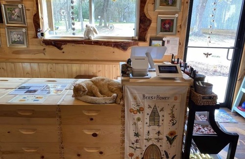 Navasota RV Rental | Luxury Family Glamping at BeeWeaver Honey Farm