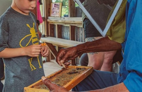 Navasota RV Rental | Luxury Family Glamping at BeeWeaver Honey Farm