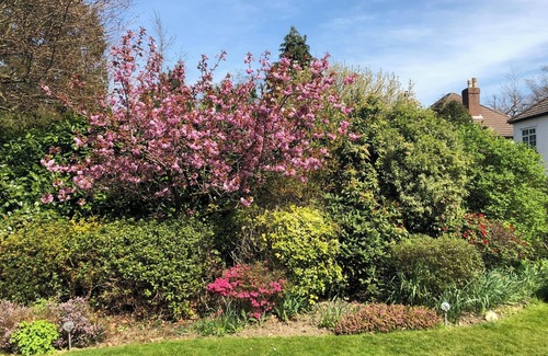 Whyteleafe House | Luxury family home in Surrey, UK with garden, pool table, fireplace & playground