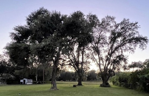 Orlando Boat Rental | Luxury Family House