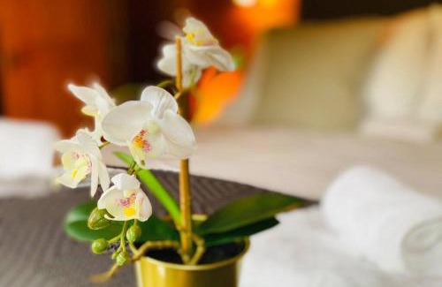 Cowbridge Apartment | Luxury Farm Cabin in the Heart of Wales