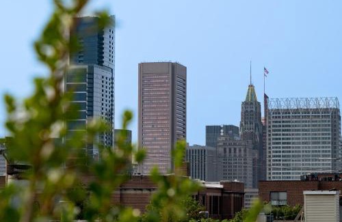 Federal Hill House | Luxury Federal Hill Home with Rooftop & 4 Parking Spots