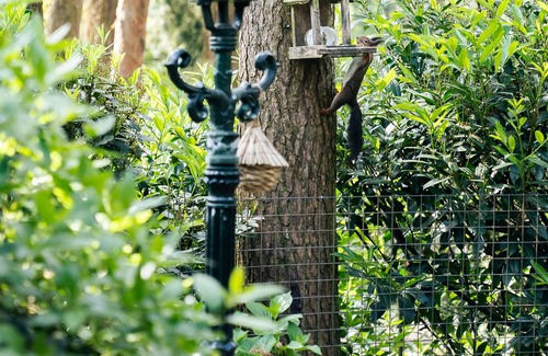 Langstraat Cottage | Luxury forest house with hot tub, bath and rain shower in the forests of Limburg