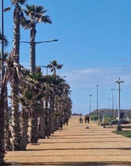 Ain Harrouda Apartment | Luxury fully furnished one bedroom next to zenata beach with free access to the pool